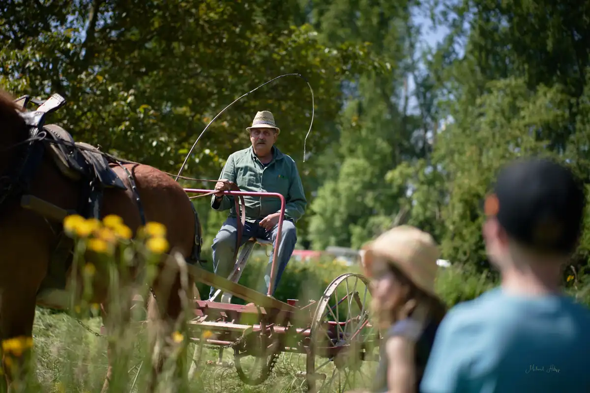Internationaler Museumstag Haus Bürgel - Bild 2